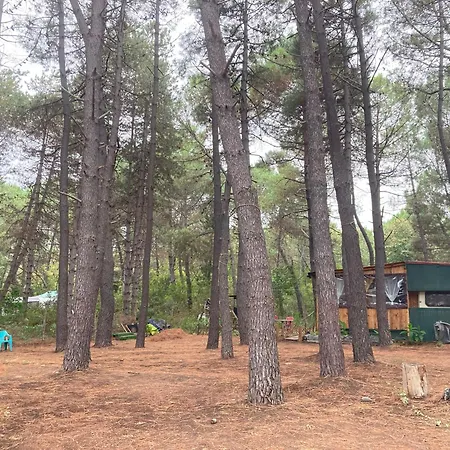 каравана макси Černomorec