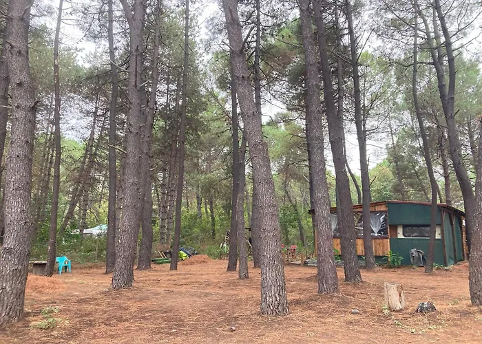 каравана макси Chernomorets